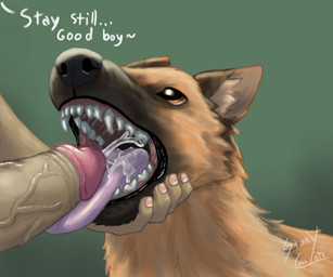 begging bestiality bodily_fluids cum cum_in_mouth cum_inside cumshot drinking drinking_cum duo ejaculation fellatio feral genital_fluids genitals grabbing_muzzle human_on_feral humanoid_genitalia humanoid_penis interspecies licking male male/male male_human mouth_shot onomatopoeia open_mouth oral penile penis penis_lick penis_on_tongue pleading_eyes sex sound_effects text tongue tongue_out dogface canid canine canis domestic_dog german_shepherd herding_dog human mammal pastoral_dog absurd_res hi_res