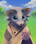 5_fingers blue_eyes blue_sky cheek_tuft cloak clothing cloud day detailed_background facial_tuft fingers fur glistening glistening_eyes glistening_pawpads grass grey_body grey_fur handpaw looking_at_viewer outside pawpads paws pink_nose pink_pawpads plant sky tuft whiskers white_whiskers cloudweaver_(artist) sachii_(resachii) domestic_ferret gulonine mammal marten mustelid musteline true_musteline weasel bust_portrait digital_media_(artwork) digital_painting_(artwork) hi_res portrait signature