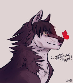 ambiguous_gender black_body black_fur black_hair black_nose black_text cheek_tuft duo facial_tuft feral feral_with_hair fur glistening glistening_eyes grey_eyes hair inner_ear_fluff mouth_closed neck_tuft red_wings tan_sclera text tuft white_body white_fur white_inner_ear_fluff wings unknowhiter arthropod butterfly canid canine canis insect lepidopteran mammal wolf 2015 bust_portrait digital_drawing_(artwork) digital_media_(artwork) portrait russian_text shaded signature