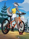 anthro athletic athletic_anthro athletic_male bicycle bottomless clean_diaper clothed clothing diaper eyewear furgonomics grin male mountain_bike outside shirt smile solo sport sunglasses tank_top topwear vehicle wearing_diaper colt3n brooks_(colt3n) canid canine canis mammal wolf hi_res