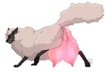 after_transformation anatomically_correct anatomically_correct_genitalia anatomically_correct_pussy anus big_breasts big_teats breasts crossgender curse female feral forced forced_transformation fur gender_transformation genitals huge_breasts huge_teats hyper hyper_breasts hyper_teats magic mtf_crossgender mtf_transformation nipples pink_breasts pink_pussy pussy solo teats transformation udders wool_(fur) wrong_udders colorcult wolf_in_sheep's_clothing walter_(colorcult) bovid canid canine canis caprine hybrid mammal sheep wolf hi_res andromorph_(lore) male_(lore)