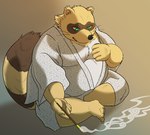 anthro belly black_nose brown_body brown_fur clothed clothing fur green_eyes humanoid_hands kemono male overweight overweight_male simple_background sitting solo white_body white_fur hysk sengoku_puzzle tokugawa_ieyasu canid canine mammal raccoon_dog tanuki 2021 hi_res