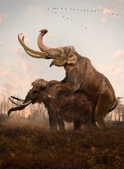 ambiguous_gender brown_body brown_fur cloud detailed_background doggystyle female feral from_behind_position fur grass group interspecies male male/female morning open_mouth outside outside_sex plant proboscis_(anatomy) realistic realistic_feral sex tree trunk_(anatomy) tusks velizar_simeonovski avian bird columbian_mammoth elephantid mammal mammoth prehistoric_species proboscidean woolly_mammoth 2016 hi_res painting_(artwork)