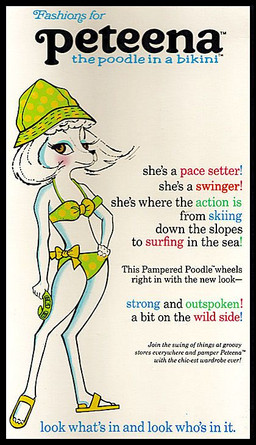 advertisement anthro bikini black_border border clothing digitigrade female fur makeup mascara solo swimwear text two-piece_swimsuit white_body white_fur unknown_artist hasbro peteena_poodle canid canine canis domestic_dog mammal poodle 1966 20th_century ancient_art english_text model_sheet official_art