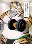 anthro blush bodily_fluids clothing exercise jockstrap male muscular slightly_chubby solo sweat text underwear weightlifting workout hijirinoyuta felid mammal pantherine tiger hi_res translation_request