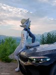 anthro car clothed clothing detailed_background fur hair male motor_vehicle nature nature_background outside plant sitting sitting_on_car sitting_on_vehicle sky smile solo tail topwear vehicle white_body mrgaleo blender_cycles bmw canid canine mammal rexouium 3:4 3d_(artwork) blender_(artwork) digital_media_(artwork) hi_res