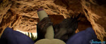 anthro ball_suck duo female first_person_view genitals handjob looking_at_viewer male male/female oral penile sex sucking conditional_dnp dasharky3d dahsharky_(character) humanoid lizardman scalie 2024 3d_(artwork) 3d_animation animated blender_(artwork) digital_media_(artwork) hi_res huge_filesize short_playtime sound webm