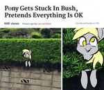 blonde_hair derp_eyes female feral fur grey_body grey_fur hair plant real shrub smile text wings yellow_eyes third-party_edit unknown_artist friendship_is_magic hasbro my_little_pony mythology derpy_hooves_(mlp) equid equine mammal mythological_creature mythological_equine pegasus english_text meme photo_manipulation