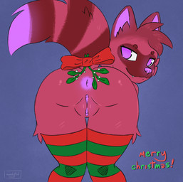 anthro anus bent_over butt butt_focus clitoris clothing female fur genitals holidays inviting legwear looking_at_viewer looking_back looking_back_at_viewer mostly_nude presenting presenting_anus presenting_hindquarters presenting_vulva raised_tail rear_view seductive simple_background solo standing stockings tail teasing vulva moodytail christmas canid canine fox hybrid mammal procyonid raccoon 2025 animated digital_media_(artwork) frame_by_frame hi_res loop