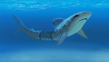 black_spots blue_background dorsal_fin female feral fin grey_body grey_fin looking_at_viewer ring shark_tail simple_background solo spots underwater water krini aquatic fish shark 2026 hi_res