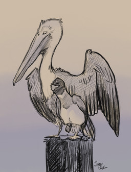 ambiguous/ambiguous ambiguous_gender avian_feet beak biped cuddling duo eyes_closed feathered_wings feathers feet feral feral_on_feral feralized folded_wings long_beak long_neck membrane_(anatomy) on_one_leg pole raised_leg size_difference smile standing toes webbed_feet wings samyena pelimo samgull_(samyena) avian bird gull lari larid pelecaniform pelican sooty_gull 2012 full-length_portrait monochrome portrait signature sketch traditional_media_(artwork)