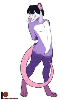 anthro femboy male posed purple_body solo text darkpawstudios american_opossum mammal marsupial hi_res url