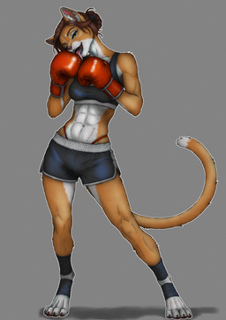 4_toes anthro athletic athletic_anthro athletic_female bedroom_eyes biped black_bottomwear black_bra black_clothing black_shorts black_sports_bra black_underwear bodily_fluids bottomwear boxing_gloves bra brown_hair clothed clothed_anthro clothed_female clothing countershade_fur countershade_torso countershading digitigrade feet female female_anthro front_view fully_clothed fully_clothed_anthro fully_clothed_female fur green_eyes grey_background hair hair_bun half-closed_eyes handwear inner_ear_fluff licking looking_at_viewer midriff multicolored_body multicolored_fur narrowed_eyes navel nipple_outline open_mouth orange_body orange_fur pink_inner_ear saliva seductive shorts simple_background snout solo sports_bra standing toes tongue tongue_out tuft two_tone_body two_tone_fur underwear white_body white_countershading white_fur white_inner_ear_fluff thunderewokb felid feline mammal digital_drawing_(artwork) digital_media_(artwork) hi_res