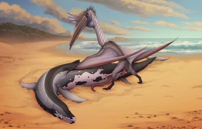 anal anal_penetration animal_genitalia beach beak black_body day duo erection feral feral_on_feral feral_penetrated feral_penetrating feral_penetrating_feral genital_slit genitals grey_body larger_penetrated long_penis male male/male male_penetrated male_penetrating male_penetrating_male outside penetration penis pink_penis sex size_difference sky water deepdarkfantasies aquatic archaeocete azhdarchid basilosaurid basilosaurus cetacean mammal prehistoric_species pterosaur quetzalcoatlus reptile scalie whale hi_res