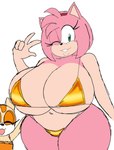 accessory anthro big_breasts bikini breasts clothing curvy_figure duo female gold_bikini green_eyes hair_accessory hairband huge_breasts one_eye_closed pink_body smile string_bikini swimwear tan_body two-piece_swimsuit voluptuous voluptuous_female wink young momijizx golden_week sega sonic_the_hedgehog_(series) amy_rose cream_the_rabbit eulipotyphlan hedgehog lagomorph leporid mammal rabbit 2024 hi_res