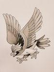 ambiguous_gender american_traditional beak claws feathered_wings feathers feral flying solo tongue wings lobelmont nintendo pokemon avian bird generation_1_pokemon pidgeotto pokemon_(species) 3:4 greyscale monochrome