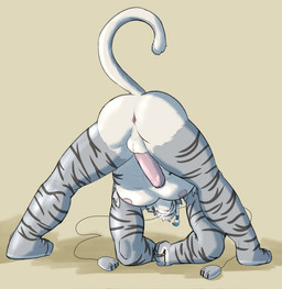 abs anthro anus armpit_hair balls barazoku body_hair butt erection facial_hair foreskin fur genitals grey_body grey_fur humanoid_genitalia humanoid_penis male markings muscular muscular_anthro muscular_male nipples nude pecs penis presenting rear_view solo stripes whiskers white_body white_fur zordykeaboo home_zomewhere_else bruce_(hze) felid mammal pantherine tiger hi_res