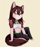 anthro belt black_bottomwear black_clothing black_pants bottomwear brown_body brown_fur brown_hair chest_wraps clothing collar countershading facial_markings feet female fingers fur green_belt green_collar hair head_markings inner_ear_fluff looking_at_viewer markings midriff navel pants pawpads pink_pawpads simple_background sitting smile smiling_at_viewer solo tail toes tuft wraps yellow_background yellow_eyes trexqueen skylar_zero canid canine canis mammal wolf 2020 artist_name digital_media_(artwork) hi_res