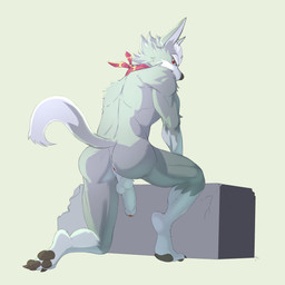 anthro anus backsack balls biped butt claws countershade_fur countershading digitigrade dipstick_tail eyebrows flaccid fluffy_balls foreskin fur genitals grey_body grey_fur humanoid_genitalia humanoid_penis kerchief kerchief_only leg_markings looking_at_viewer looking_back looking_back_at_viewer male male_anthro markings monotone_background multicolored_tail muscular muscular_anthro muscular_male nude_anthro nude_male pawpads paws penis presenting presenting_anus presenting_hindquarters rear_view red_eyes simple_background socks_(marking) solo tail tail_markings toe_claws white_background jrjresq nintendo star_fox wolf_o'donnell canid canine canis mammal wolf 1:1 2019 absurd_res colored digital_drawing_(artwork) digital_media_(artwork) hi_res shaded