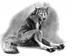 2015 anthro anus balls bedroom_eyes blackteagan canid canine canis domestic_dog grey_balls greyscale half-closed_eyes harness husky looking_at_viewer male mammal monochrome narrowed_eyes nordic_sled_dog nude presenting presenting_anus presenting_balls seductive sketch smile solo spitz
