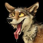 1:1 2016 alpha_channel ambiguous_gender black_body black_eyes black_fur black_nose bodily_fluids brown_body brown_fur canid canine canis coyote digital_media_(artwork) dripping drooling feral fur headshot_portrait icon kenket looking_up mammal multicolored_body multicolored_fur open_mouth open_smile pink_tongue portrait reaction_image saliva sharp_teeth side_view simple_background smile solo sticker tan_sclera teeth tongue tongue_out transparent_background white_body white_fur yellow_sclera