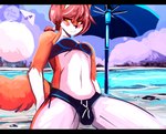 anthro beach bikini blush brown_hair bulge clothed clothing detail femboy fur hair hang_glider looking_at_viewer male navel orange_body orange_fur seaside solo swimwear two-piece_swimsuit umbrella white_body white_fur dirtyscoundrel canid canine mammal absurd_res hi_res