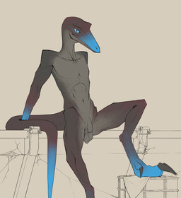 abs anthro athletic athletic_male balls blue_eyes blue_face blue_feet blue_tail_tip claws collarbone digitigrade dipstick_tail feet flaccid foreskin genitals grey_balls grey_body grey_penis humanoid_genitalia humanoid_penis long_tail looking_at_viewer male markings navel penis raised_leg saggy_balls simple_background sitting snout solo tail tail_markings toe_claws uneven_balls unretracted_foreskin bullchicken lizard reptile scalie absurd_res colored digital_drawing_(artwork) digital_media_(artwork) flat_colors hi_res