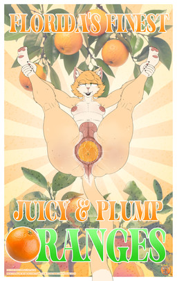 advertisement anal_fluids anal_juice_drip anal_storage anthro anus backsack balls big_anus big_butt big_nipples blonde_hair bodily_fluids breasts butt cavity_storage femboy genitals hair huge_anus huge_butt hyper hyper_anus improvised_sex_toy loose_anus loose_orifice male markings mole_(marking) mole_on_butt mole_on_thigh nipples object_vore presenting presenting_anus presenting_hindquarters short_hair small_breasts solo text thick_thighs vore kittykuscell domestic_cat felid feline felis mammal hi_res story story_in_description