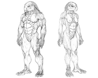 3_toes 5_fingers abs animal_genitalia anthro breasts claws dewclaw dreadlocks duo feet female fingers genital_slit genitals looking_aside male nipples scales simple_background toe_claws toes white_background jared_trulock dungeons_and_dragons hasbro wizards_of_the_coast dragonborn_(dnd) scalie model_sheet monochrome official_art