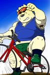 anthro armpit_hair bicycle black_nose body_hair bottomwear clothing cycling fur humanoid_hands kemono male overweight overweight_anthro overweight_male shirt shorts sitting solo topwear vehicle white_body white_fur shibatanukiti bear mammal polar_bear ursine 2021 2:3 hi_res