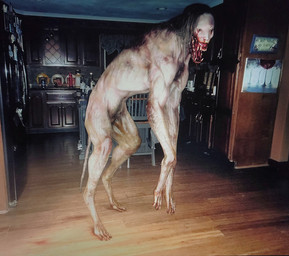 ambiguous_gender anthro bared_fangs bared_teeth biped bipedal_feral blood bodily_fluids body_horror claws creepy creepy_face featureless_crotch feral fur hair horror_(theme) inside kitchen long_hair naturally_censored navel nightmare_fuel on_hind_legs open_mouth photo_background pubes quadruped realistic scary sharp_teeth snout solo teeth uncanny_valley what what_has_science_done where_is_your_god_now deadlymelodic third-party_edit mythology seth_the_realistic_werewolf canid canine mammal monster mythological_canine mythological_creature werecanid werecanine werecreature werewolf 3d_(artwork) digital_media_(artwork) mixed_media photography_(artwork) shopped