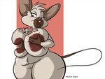 anthro areola big_breasts breasts brown_body brown_fur buckteeth duo female fur huge_breasts larger_female male navel nude open_mouth red_eyes size_difference smaller_male tan_body tan_fur teeth thick_thighs tongue tongue_out vulva dutch_(artist) almond_(dutch) mammal mouse murid murine rodent siamese_mouse 2020 digital_media_(artwork)