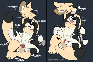 abdominal_bulge anthro asphyxiation balls barking bodily_fluids breasts breath_play choking clothing cum cum_in_vagina cum_inside cumshot curling_toes dialogue dipstick_tail duo ejaculation eye_roll eyes_closed feet female female_penetrated floppy_ears footwear footwear_only fur genital_fluids genitals good_girl green_eyes happy happy_sex head_lock heart_symbol knotting larger_male looking_pleasured male male/female male_penetrating male_penetrating_female markings moan mostly_nude penetration penile penile_penetration penis penis_in_vagina praise sex size_difference small_breasts smaller_female socks socks_only sound_effects tail tail_markings tail_motion tailwag tan_body tan_fur text tongue tongue_out vaginal vaginal_knotting vaginal_penetration vulva lupopossum sadie_(lupopossum) simon_(lupopossum) canid canine canis domestic_dog fennec_fox fox mammal true_fox comic english_text hi_res