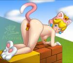 all_fours butt buttplug buttplug_tail cat_suit_(mario) fake_cat_ears fake_ears fake_tail female pasties plug_(sex_toy) presenting sex_toy solo oni_(artist) mario_bros nintendo cat_peach princess_peach animal_humanoid human humanoid mammal