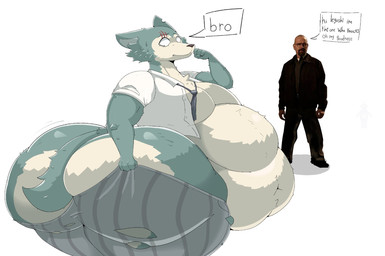 anthro belly belly_overhang belly_rolls big_belly big_butt big_moobs bottomwear butt clothed clothing duo fat_rolls huge_belly huge_butt huge_moobs humor hyper hyper_butt ill-fitting_clothing male moobs obese obese_male overweight overweight_male pants simple_background tail text thick_thighs torn_bottomwear torn_clothing torn_pants wardrobe_malfunction wide_hips guooo123456 beastars breaking_bad legoshi_(beastars) walter_white canid canine canis human mammal wolf digital_media_(artwork) english_text hi_res