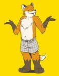 2019 4_fingers anthro barefoot black_nose boxers_(clothing) brown_body brown_fur canid canine chest_tuft clothed clothing feet fingers fox fur gesture grey_clothing grey_underwear heyitscousindave hi_res male mammal open_mouth orange_body orange_fur pattern_clothing plaid plaid_clothing shadow shrug simple_background solo standing tongue_showing topless tuft underwear underwear_only white_body white_fur yellow_background