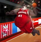 4_toes 5_fingers anthro ball basketball belly big_belly black_eyebrows black_hair black_inner_ear_fluff black_nose black_pawpads bottomwear claws clothed clothing eyebrows feet fingers fur gloves_(marking) grey_body grey_claws grey_fur hair inner_ear_fluff male markings mascot obese obese_anthro obese_male open_mouth overweight overweight_anthro overweight_male pawpads pink_tongue shirt shorts solo teeth text toes tongue topwear tuft wisconsin shibadoodles college_football university_of_wisconsin wisconsin_badgers bucky_badger badger mammal mustelid musteline english_text hi_res