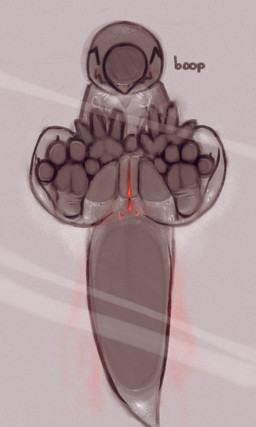 4_toes ^_^ against_surface big_tail blush bodily_fluids butt eyes_closed feet female genital_fluids genitals looking_at_viewer low-angle_view on_glass paws smile solo squish sweat tail thick_thighs toes vulva miii_cho nintendo pokemon generation_7_pokemon pokemon_(species) salandit 3:5 hi_res