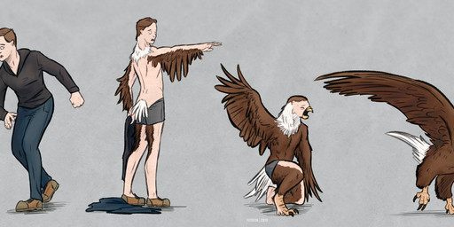 beak beak_growth bottomwear brown_body brown_feathers brown_hair claw_growth claws clothed clothed_human clothed_male clothing denim denim_bottomwear denim_clothing feather_growth feathers feet feral footwear four_frame_sequence grey_background growth hair human_to_feral jeans linear_sequence male multicolored_body multicolored_feathers pants shoes simple_background solo species_transformation spread_wings tail tail_feathers talons toes torn_clothing transformation transformation_sequence underwear white_body white_feathers wing_growth wings zibyr accipitrid accipitriform avian bird eagle human mammal 2024 full-length_portrait hi_res portrait