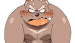 anthro blush brown_body brown_fur fur kemono male overweight overweight_anthro overweight_male simple_background solo white_background diru11 bear mammal 2020