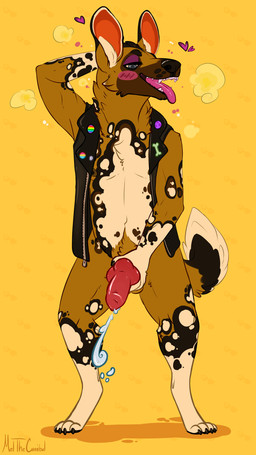 animal_genitalia animal_penis anthro blue_eyes blush bodily_fluids brown_body brown_fur canine_genitalia canine_penis clothed clothing cum digitigrade ejaculation erection fur genital_fluids genitals heart_symbol jacket knot leather leather_clothing leather_jacket leather_topwear male markings masturbation open_mouth partially_clothed penis solo spots spotted_body spotted_fur tan_body tan_fur tongue tongue_out topwear meldritchhorror animal_crossing nintendo kyle_(animal_crossing) african_wild_dog canid canine mammal absurd_res hi_res