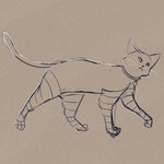 ambiguous_gender clothing collar feral footwear heart_tag legwear socks solo tail thigh_highs thigh_socks walking whiskers gottabekittenme domestic_cat felid feline felis mammal 1:1 absurd_res hi_res sketch