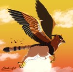 beak black_claws brown_eyes claws cloud feathered_wings feathers feral fur light male multicolored_body multicolored_fur solo sun sunlight sunset wings cinderart mythology avian bird gryphon mythological_avian mythological_creature absurd_res digital_drawing_(artwork) digital_media_(artwork) hi_res shaded