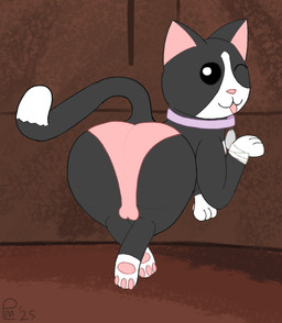 ball_bulge bandage black_body black_fur brown_background butt clothing collar feral floating fur looking_at_viewer male one_eye_closed panties pink_clothing pink_panties pink_underwear raised_tail simple_background solo tail tongue tongue_out underwear wink winking_at_viewer plm40 the_binding_of_isaac_(series) guppy_(tboi) domestic_cat felid feline felis mammal tuxedo_cat hi_res