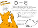4:3 anthro canid canine canis comic english_text fur kemono male mammal rolf solo text translated wolf yakantuzura