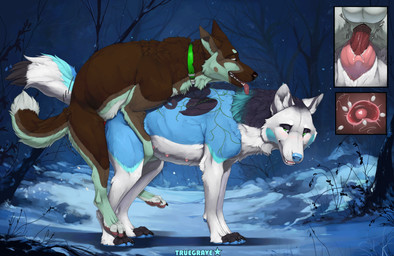 animal_genitalia animal_penis animal_vulva balls bodily_fluids canine_genitalia canine_penis canine_vulva collar duo erection female female_feral female_penetrated feral feral_on_feral feral_penetrated feral_penetrating feral_penetrating_feral fur genital_fluids genitals impregnation intraspecies knot knot_root knotted_penis knotting larger_female larger_feral larger_penetrated looking_back male male/female male_feral male_penetrating male_penetrating_female mating_grip nipples nude penetration penile penile_penetration penis sex sheath size_difference smaller_feral smaller_male tongue tongue_out vaginal vaginal_knotting vaginal_penetration vulva white_body truegrave9 sheppermint canid canine canis mammal hi_res
