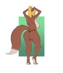 anthro big_breasts blonde_hair breasts brown_body brown_fur butt clothed clothing curvy_figure dripping dripping_wet female fur hair multicolored_body multicolored_fur ponytail rear_view solo standing tail tan_body tan_fur thong topless topless_female two_tone_body two_tone_fur tying_hair underwear underwear_only wet wide_hips potaroe mitsy_fields_(wsad) canid canine canis collie domestic_dog herding_dog mammal pastoral_dog rough_collie sheepdog hi_res