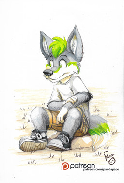 anthro black_clothing black_footwear black_nose black_shoes bottomwear brown_bottomwear brown_clothing brown_shorts cheek_tuft clothed clothing facial_tuft footwear fur green_eyes green_hair green_markings grey_body grey_fur hair logo male markings mouth_closed outside patreon_logo shirt shoes short_hair shorts sitting solo t-shirt text topwear tuft white_body white_clothing white_footwear white_fur white_shirt white_shoes white_t-shirt white_topwear young young_anthro young_male pandapaco patreon canid canine mammal artist_logo signature url