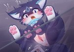 anthro anus blush clitoris female fur genitals humanoid_genitalia humanoid_pussy kemono paws purple_body purple_fur pussy semi-anthro solo surprised_expression urethra white_body white_fur window deaic canid canine mammal hi_res