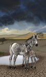 ambiguous_gender duo feral hooves outside plant quadruped sky standing stripes tree superlavplov equid equine mammal zebra 2023 absurd_res hi_res mother_(lore) mother_and_child_(lore) parent_(lore) parent_and_child_(lore)